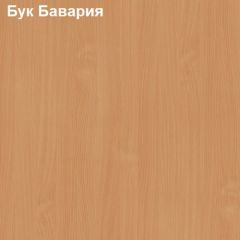 Антресоль для малого шкафа Логика Л-14.3.1 в Нефтекамске - neftekamsk.mebel24.online | фото 2