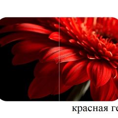 БОСТОН - 2 опоры Триумф в Нефтекамске - neftekamsk.mebel24.online | фото 50