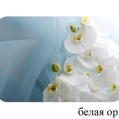 БОСТОН - 2 опоры Триумф в Нефтекамске - neftekamsk.mebel24.online | фото 52