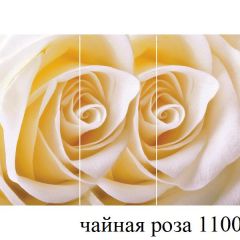 БОСТОН - 3 Стол раздвижной 1100/1420 опоры Триумф в Нефтекамске - neftekamsk.mebel24.online | фото 48