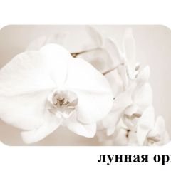 БОСТОН - 3 Стол раздвижной Лунная орхидея 1100/1420 опоры Триумф в Нефтекамске - neftekamsk.mebel24.online | фото 2