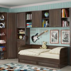 Детская Карина композиция 7 (Акация Молдау) в Нефтекамске - neftekamsk.mebel24.online | фото