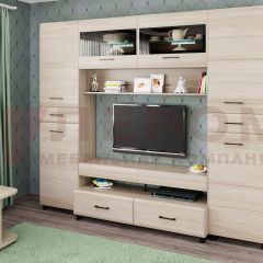 Гостиная Камелия Композиция 10 (Ясень Асахи) в Нефтекамске - neftekamsk.mebel24.online | фото
