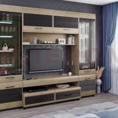 Гостиная Камелия Композиция 11 (Гикори Джексон светлый комбинированный) в Нефтекамске - neftekamsk.mebel24.online | фото