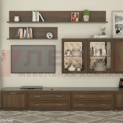 Гостиная Карина Композиция 10 (Акация Молдау) в Нефтекамске - neftekamsk.mebel24.online | фото
