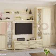 Гостиная Карина Композиция 12 (Ясень Асахи) в Нефтекамске - neftekamsk.mebel24.online | фото