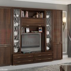 Гостиная Карина Композиция 19 (Акация Молдау) в Нефтекамске - neftekamsk.mebel24.online | фото 5