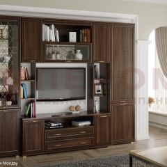 Гостиная Карина Композиция 2 (Акация Молдау) в Нефтекамске - neftekamsk.mebel24.online | фото