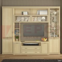 Гостиная Карина Композиция 9 (Ясень Асахи) в Нефтекамске - neftekamsk.mebel24.online | фото