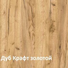 Крафт Полка для обуви 15.63 в Нефтекамске - neftekamsk.mebel24.online | фото 3