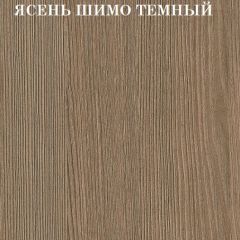 Кровать 2-х ярусная с диваном Карамель 75 (Машинки) Ясень шимо светлый/темный в Нефтекамске - neftekamsk.mebel24.online | фото 5