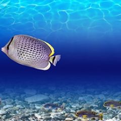 Кухонный фартук Фауна 026 МДФ матовый (3000) Fauna в Нефтекамске - neftekamsk.mebel24.online | фото