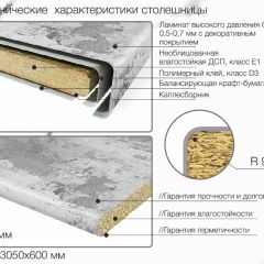 Кухонный фартук со столешницей (А-015) в едином стиле (3050 мм) в Нефтекамске - neftekamsk.mebel24.online | фото 6