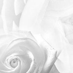 Кухонный фартук Цветы 217 МДФ матовый (3000) Flowers в Нефтекамске - neftekamsk.mebel24.online | фото