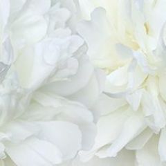 Кухонный фартук Цветы 325 МДФ матовый (3000) Flowers в Нефтекамске - neftekamsk.mebel24.online | фото