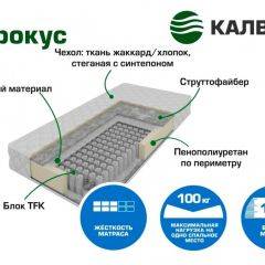 Матрас Крокус Хлопок (h190) серия Калверо в Нефтекамске - neftekamsk.mebel24.online | фото