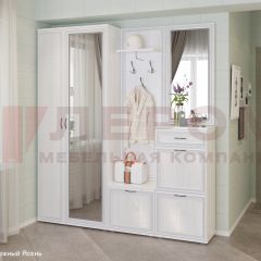 Прихожая Карина композиция 1 (Снежный ясень) в Нефтекамске - neftekamsk.mebel24.online | фото