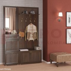 Прихожая Карина композиция 2 (Акация Молдау) в Нефтекамске - neftekamsk.mebel24.online | фото