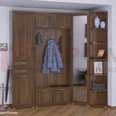 Прихожая Карина композиция 3 (Акация Молдау) в Нефтекамске - neftekamsk.mebel24.online | фото