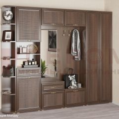 Прихожая Карина композиция 7 (Акация Молдау) в Нефтекамске - neftekamsk.mebel24.online | фото