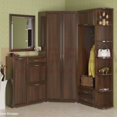 Прихожая Карина композиция 8 (Акация Молдау) в Нефтекамске - neftekamsk.mebel24.online | фото