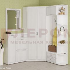 Прихожая Карина композиция 8 (Снежный ясень) в Нефтекамске - neftekamsk.mebel24.online | фото