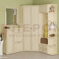 Прихожая Карина композиция 8 (Ясень Асахи) в Нефтекамске - neftekamsk.mebel24.online | фото