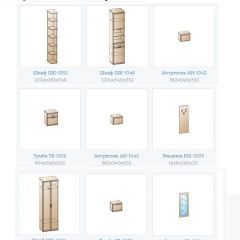 Прихожая Карина (модульная) в Нефтекамске - neftekamsk.mebel24.online | фото 14