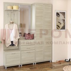 Прихожая Мелисса композиция 11 (Ясень Асахи) в Нефтекамске - neftekamsk.mebel24.online | фото