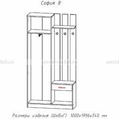 Прихожая София 8 в Нефтекамске - neftekamsk.mebel24.online | фото 2
