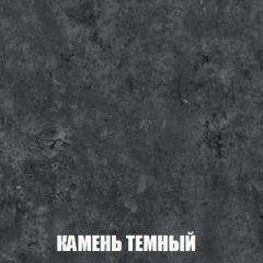 Шкаф 2-х створчатый МСП-1 (Дуб Золотой/Камень темный) в Нефтекамске - neftekamsk.mebel24.online | фото 5