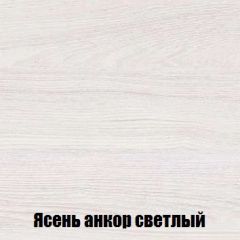 Шкаф 2-х створчатый МСП-1 (Ясень Анкор светлый) в Нефтекамске - neftekamsk.mebel24.online | фото 4
