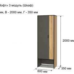 ОЛЬГА-ЛОФТ 3 Шкаф 2-х створчатый в Нефтекамске - neftekamsk.mebel24.online | фото 4