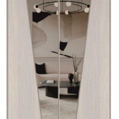 Шкаф-купе 1300 серии SILVER S3+S4+B2+PL4 (2 ящика+F обр.штанга) профиль «Серебро» в Нефтекамске - neftekamsk.mebel24.online | фото 12