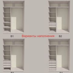 Шкаф-купе 1300 серии SILVER S3+S4+B2+PL4 (2 ящика+F обр.штанга) профиль «Серебро» в Нефтекамске - neftekamsk.mebel24.online | фото 5