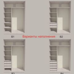 Шкаф-купе 1500 серии SILVER S1+S1+B2+PL2 (2 ящика+1 штанга+1 полка) профиль «Серебро» в Нефтекамске - neftekamsk.mebel24.online | фото 5