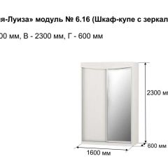 Шкаф-купе 1600 с зеркалом "Мария-Луиза 6.16" в Нефтекамске - neftekamsk.mebel24.online | фото 4