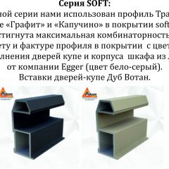 Шкаф-купе 1600 серии SOFT D6+D6+B2+PL3 (2 ящика+2штанги) профиль «Капучино» в Нефтекамске - neftekamsk.mebel24.online | фото 12