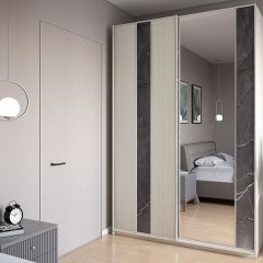 Шкаф-купе 1700 серии SILVER S4+S3Z+B2+PL1 (2 ящика+1 штанга) профиль «Серебро» в Нефтекамске - neftekamsk.mebel24.online | фото