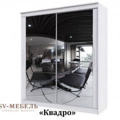Шкаф-купе №19 Серия 3 Квадро (1700) Ясень Анкор светлый в Нефтекамске - neftekamsk.mebel24.online | фото