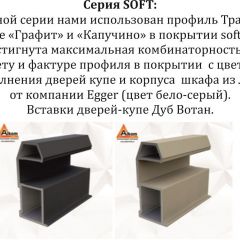 Шкаф-купе 2100 серии SOFT D5+D5+D5+B22+PL4 (по 2 ящика лев/прав+2штанги) профиль «Графит» в Нефтекамске - neftekamsk.mebel24.online | фото 11