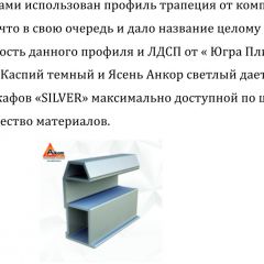 Шкаф-купе 2250 серии SILVER S7+S1+S7Z B22+PL1 (по 2 ящика лев/прав+1штанга) профиль «Серебро» в Нефтекамске - neftekamsk.mebel24.online | фото 4