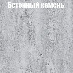 Шкаф-купе Бассо 1.0 (Дуб Крафт серый/Бетонный камень) 2 двери ЛДСП 2 зеркальные вставки в Нефтекамске - neftekamsk.mebel24.online | фото 3