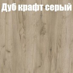 Шкаф-купе Бассо 1.0 (Дуб Крафт серый/Бетонный камень) 2 двери ЛДСП 2 зеркальные вставки в Нефтекамске - neftekamsk.mebel24.online | фото 4