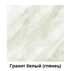Столешница 1000*h38*600 в Нефтекамске - neftekamsk.mebel24.online | фото