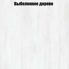 Вешалка V3 в Нефтекамске - neftekamsk.mebel24.online | фото 4