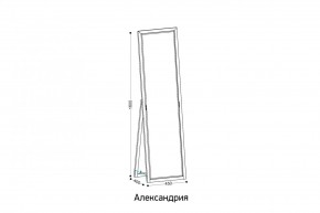 АЛЕКСАНДРИЯ-9.1 Зеркало напольное в Нефтекамске - neftekamsk.mebel24.online | фото 2