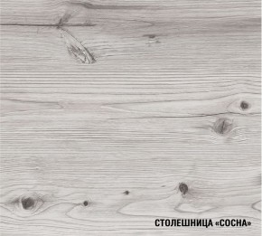 АСАЯ Кухонный гарнитур Экстра 2 (3000 мм) ПМ в Нефтекамске - neftekamsk.mebel24.online | фото 8