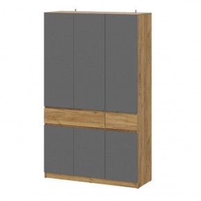 АВИНЬОН Прихожая (модульная) в Нефтекамске - neftekamsk.mebel24.online | фото 13