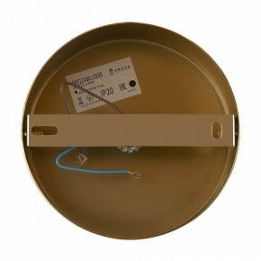 Бра Freya Zelda FR5124WL-01BS в Нефтекамске - neftekamsk.mebel24.online | фото 6